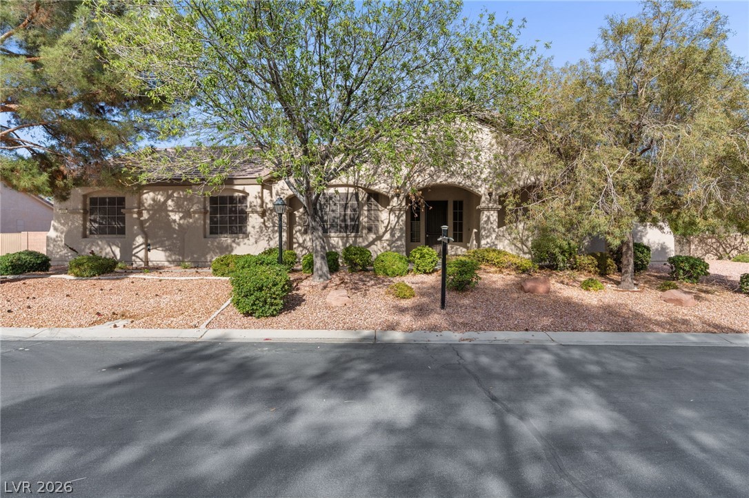 8088 Winchester Bluff Street