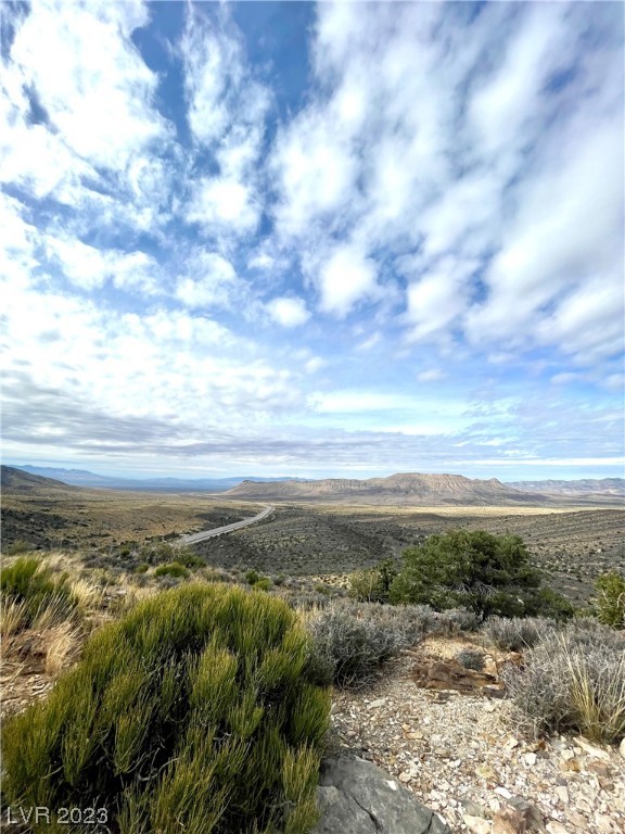 19502 State Hwy 160, Mountain Springs, Nevada image 24