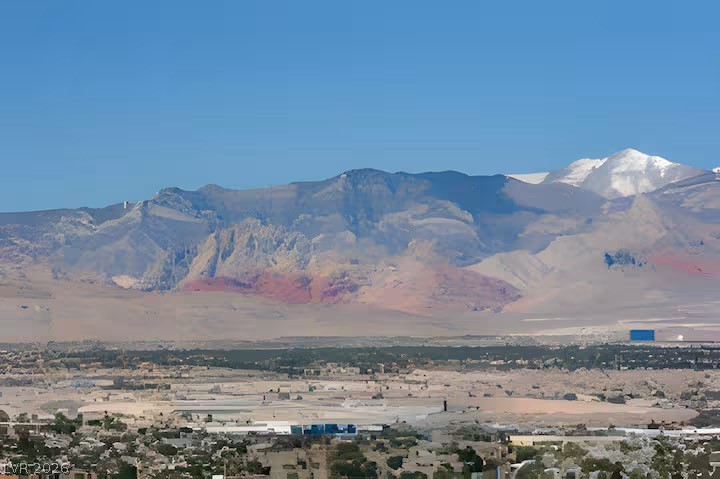 4381 W Flamingo Road 3207