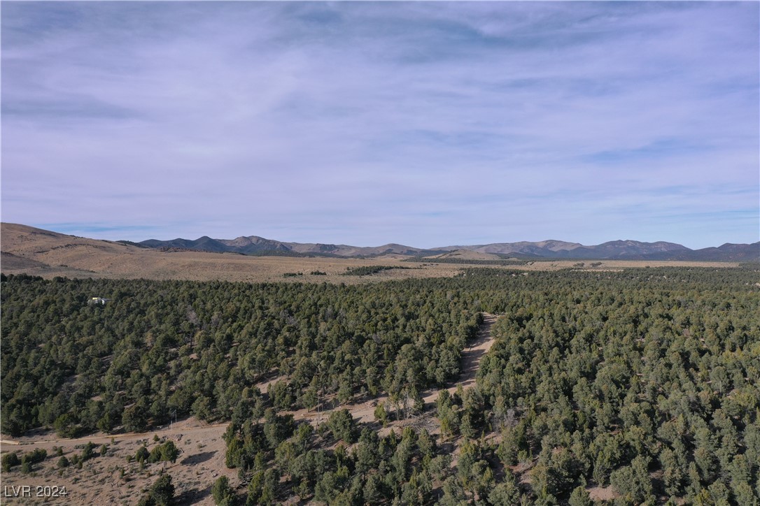 Buckhorn Ranch, Pioche, Nevada image 3