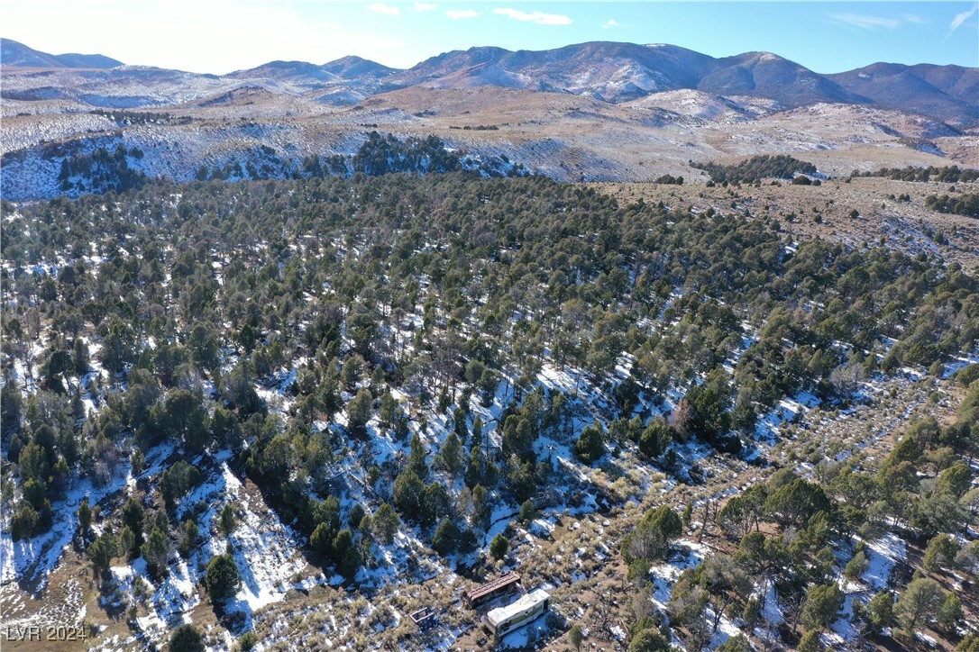 Buckhorn Ranch, Pioche, Nevada image 8