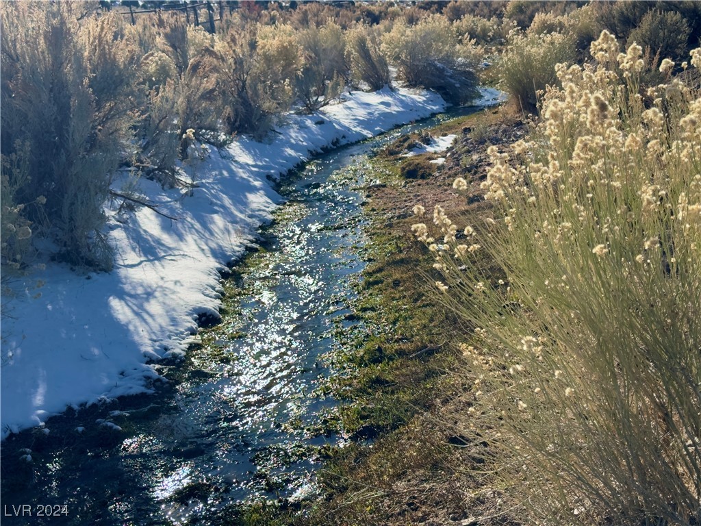 Buckhorn Ranch, Pioche, Nevada image 14