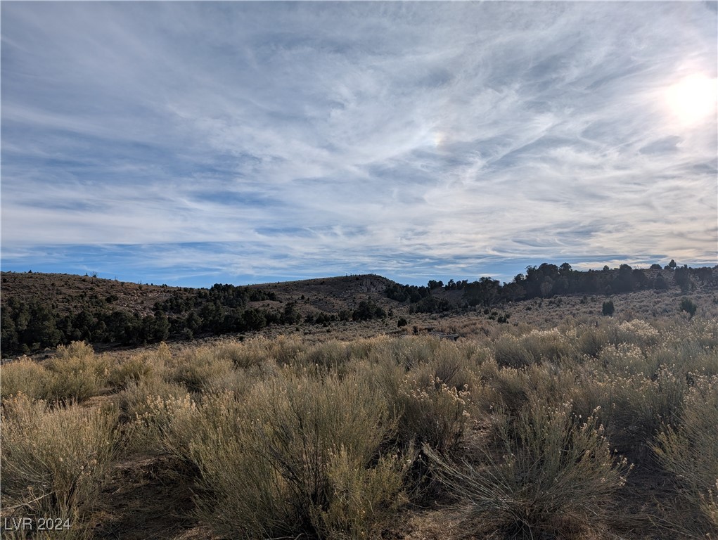 Buckhorn Ranch, Pioche, Nevada image 5