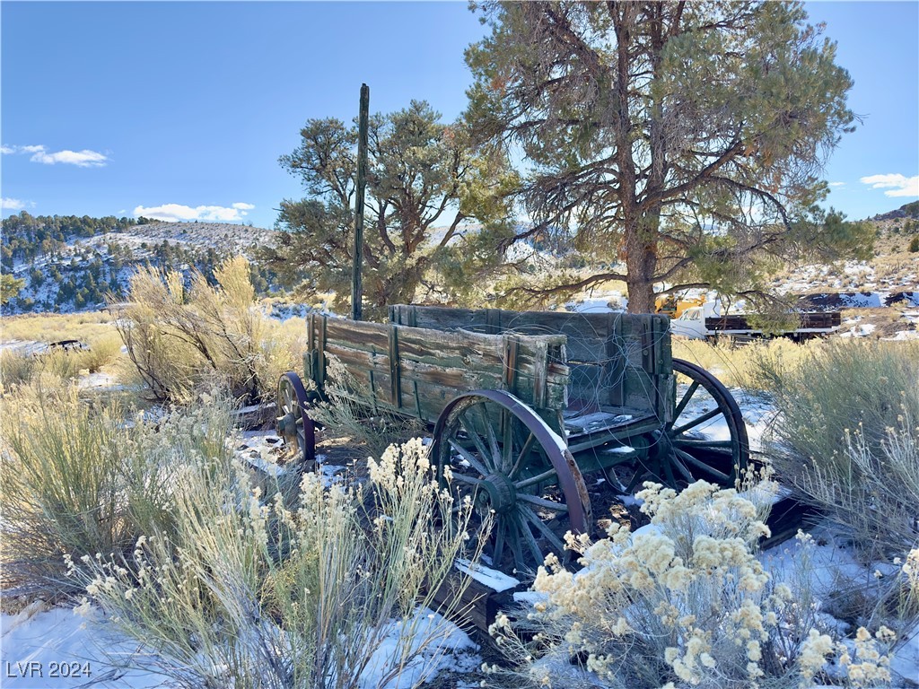 Buckhorn Ranch, Pioche, Nevada image 12