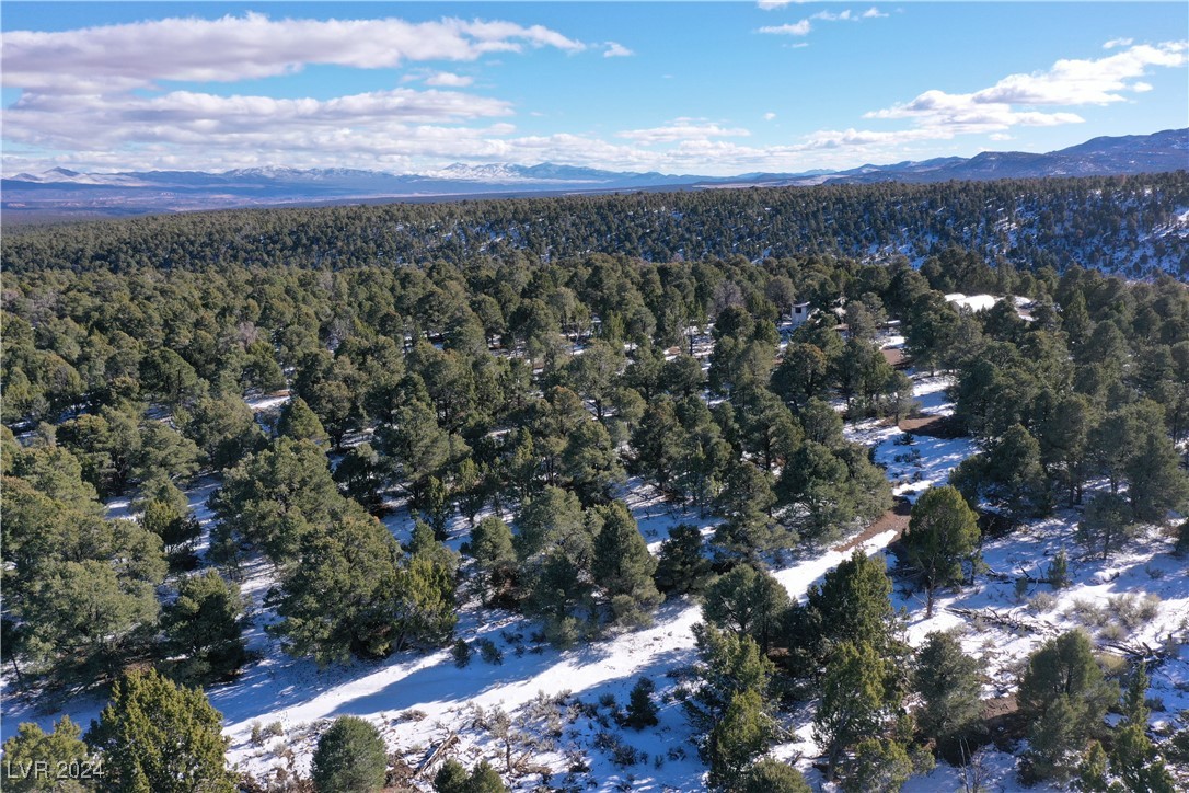 Buckhorn Ranch, Pioche, Nevada image 7