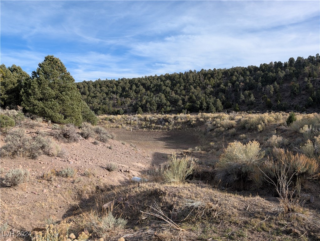 Buckhorn Ranch, Pioche, Nevada image 15