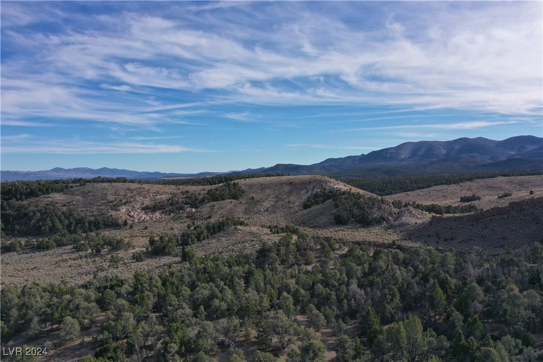 Buckhorn Ranch, Pioche, Nevada image 1