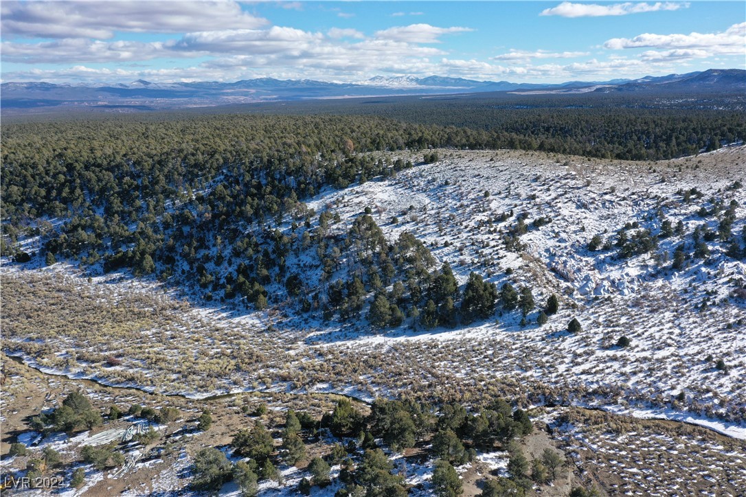 Buckhorn Ranch, Pioche, Nevada image 9