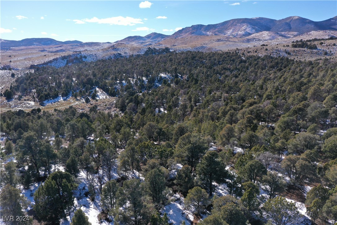 Buckhorn Ranch, Pioche, Nevada image 6