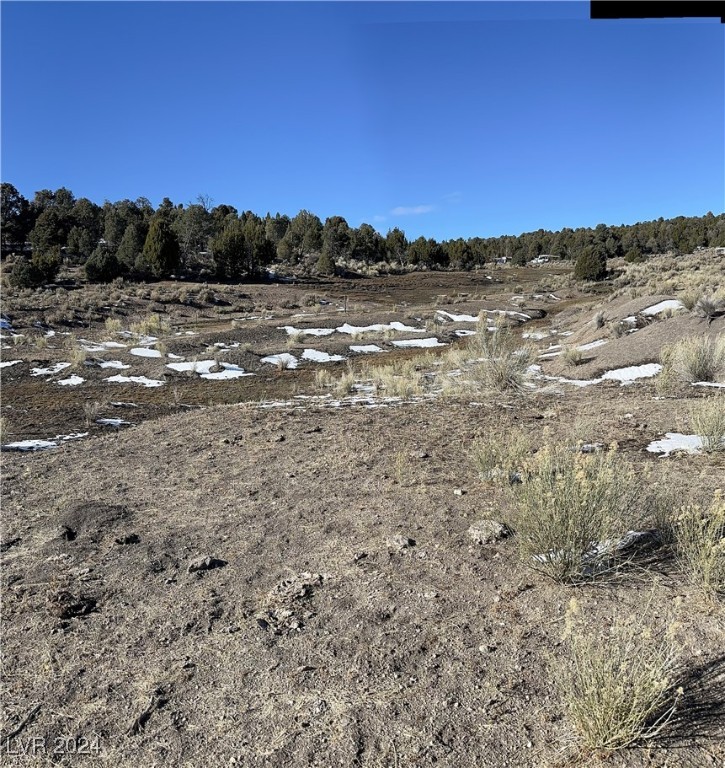 Buckhorn Ranch, Pioche, Nevada image 11