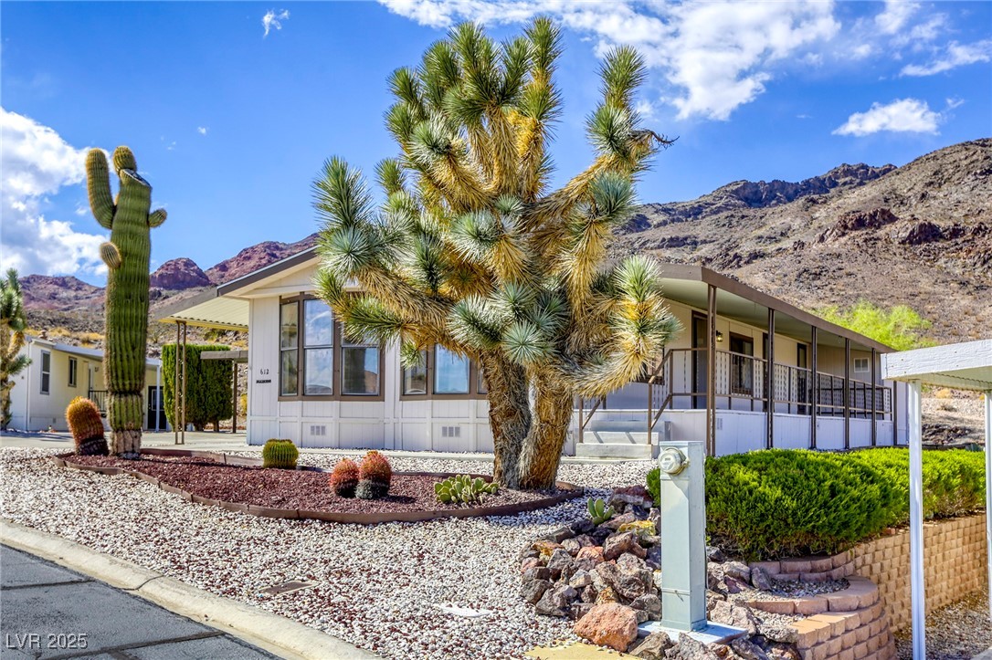 612 Mount Bear Way