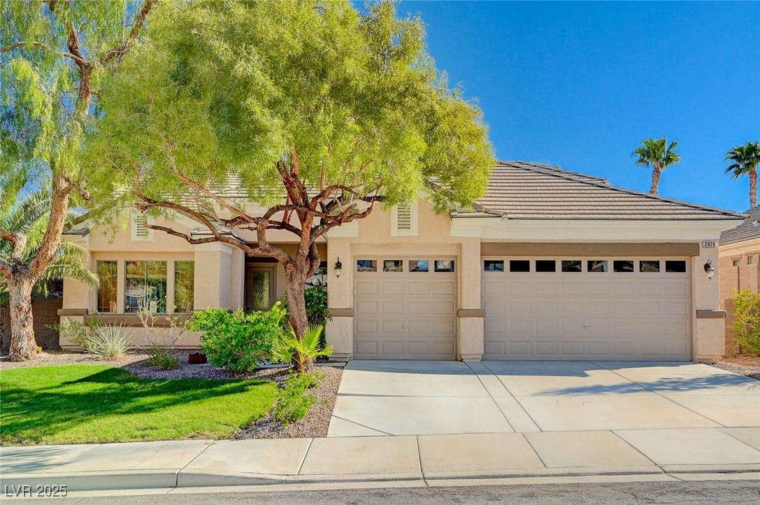 2020 Sinfonia Avenue
