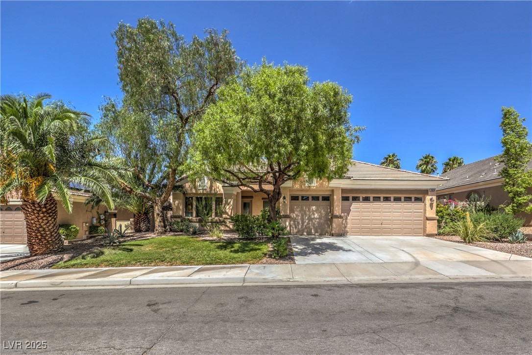 2020 Sinfonia Avenue