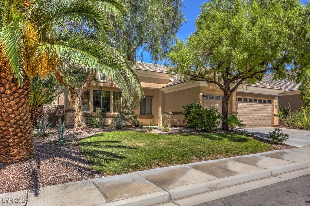 2020 Sinfonia Avenue