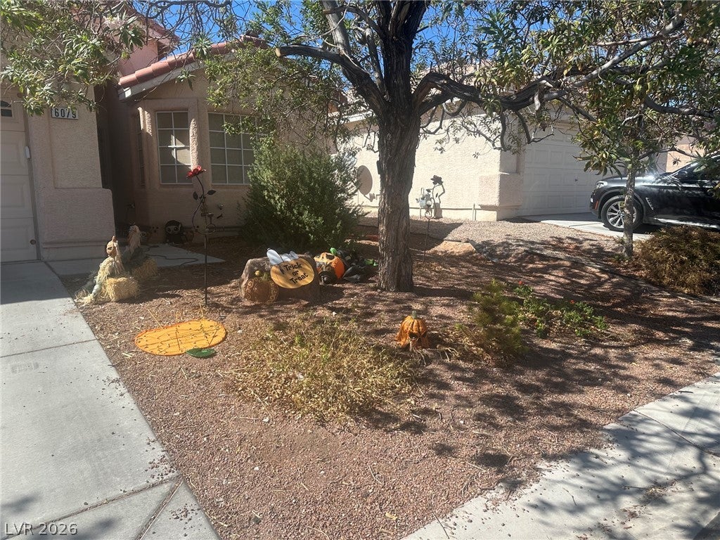 6079 Dover Dove Court