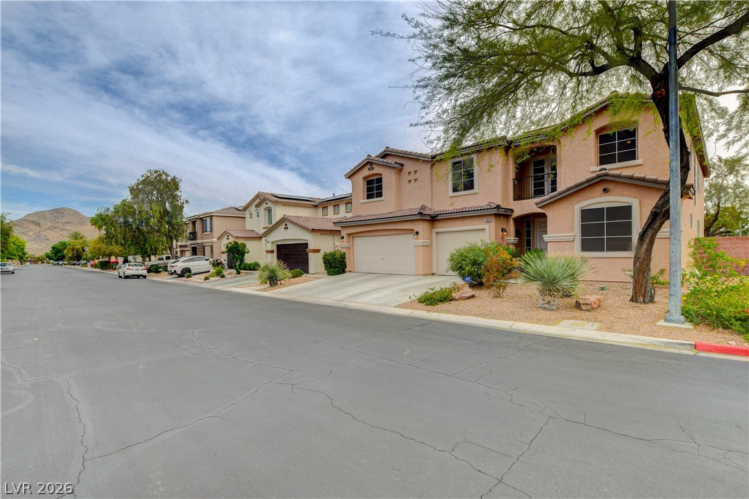 3400 Lacebark Pine Street