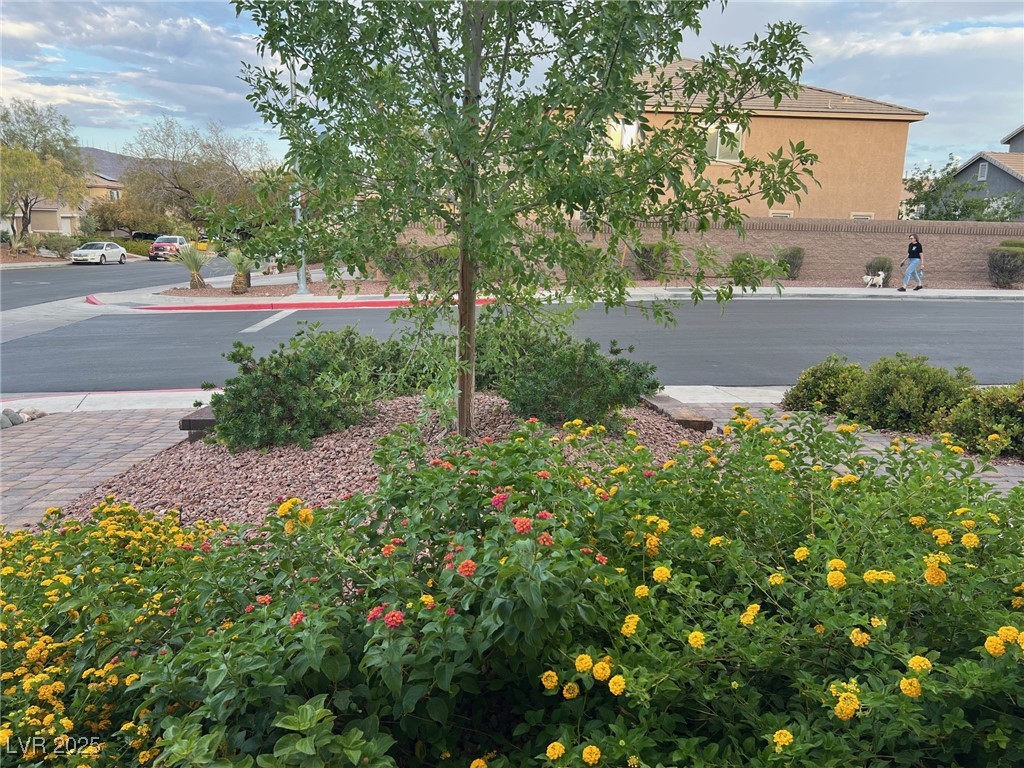 368 Misty Moonlight Street, Henderson, Nevada image 5