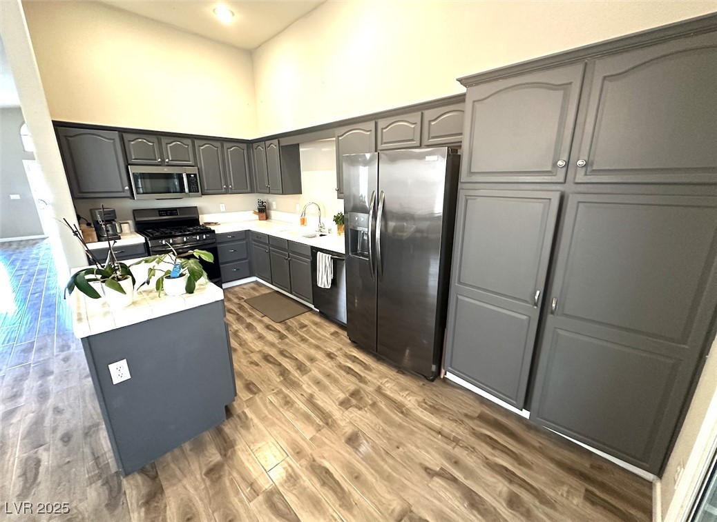981 Leadville Meadows Drive