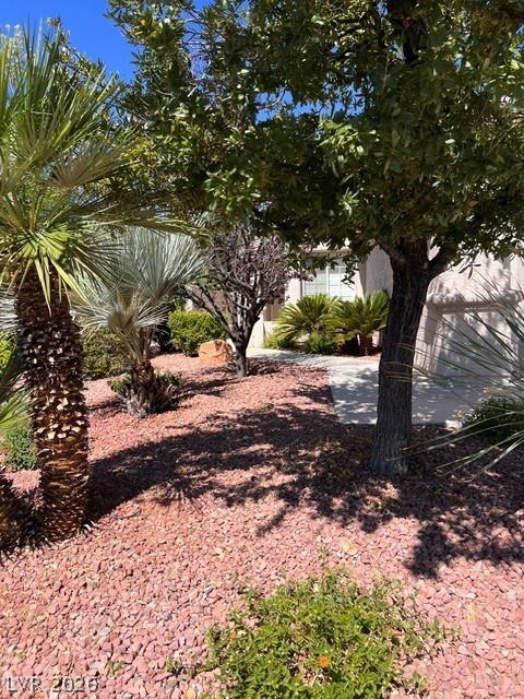 3253 LITTLE STREAM Street