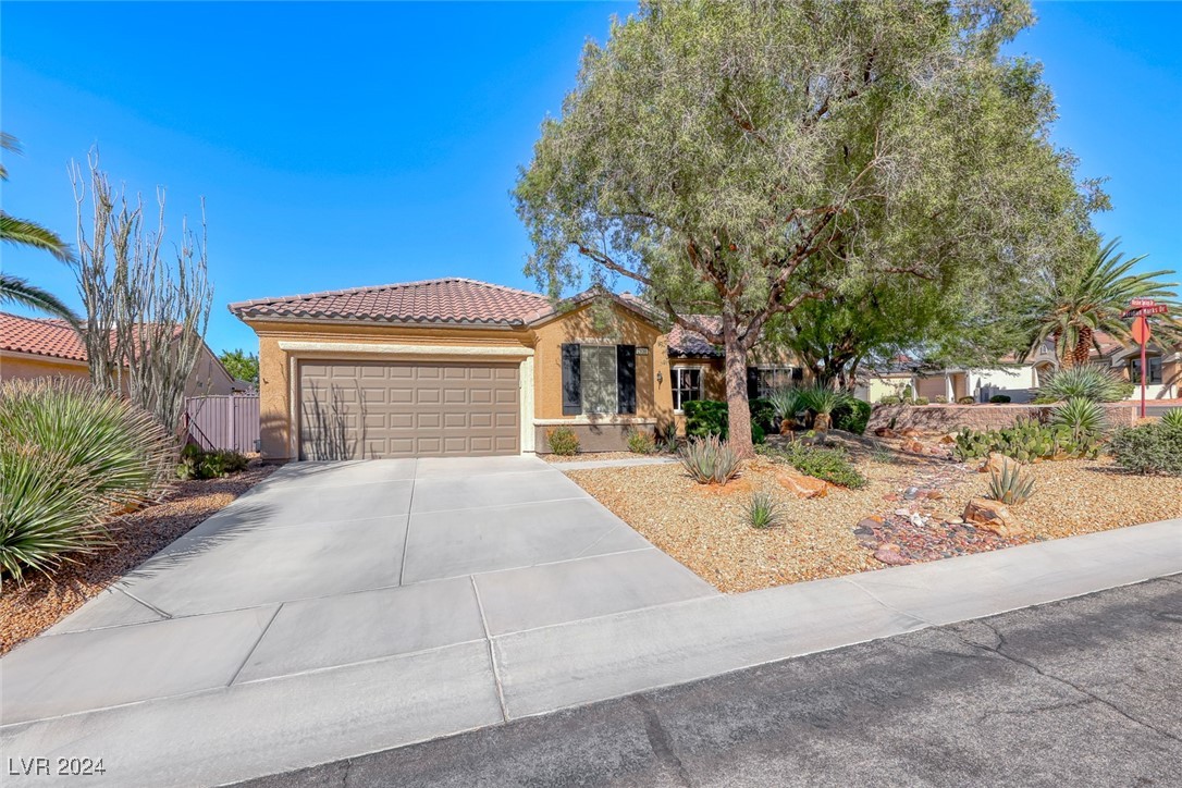 2830 Winslow Springs Drive, Henderson, Nevada image 2