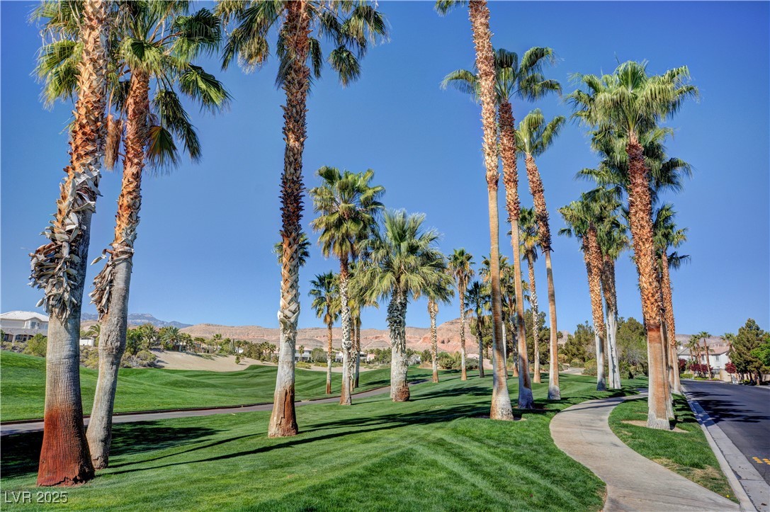 56 Island Course Avenue, Las Vegas, Nevada image 37