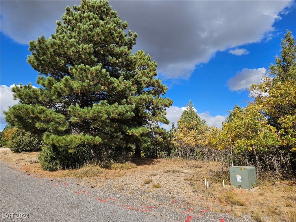 1320 W Elk Ridge Drive, Alton, Utah image 7