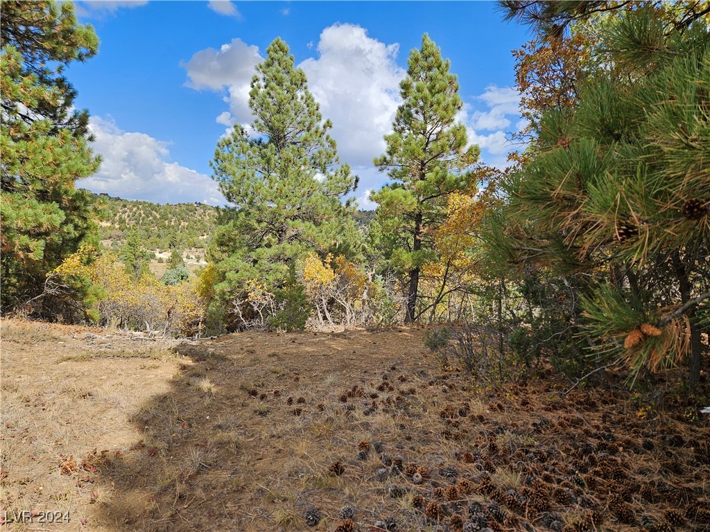 1320 W Elk Ridge Drive, Alton, Utah image 34