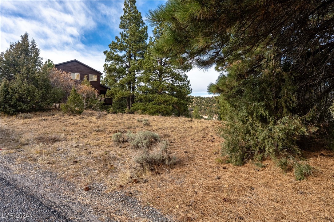 1320 W Elk Ridge Drive, Alton, Utah image 8