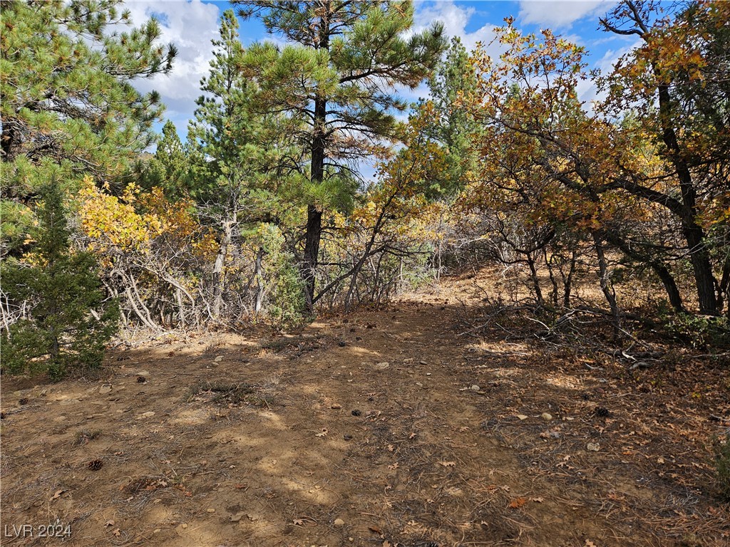 1320 W Elk Ridge Drive, Alton, Utah image 31