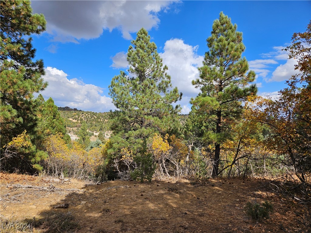 1320 W Elk Ridge Drive, Alton, Utah image 32