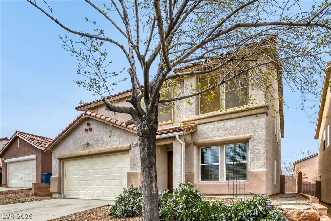 11669 Elianto Street