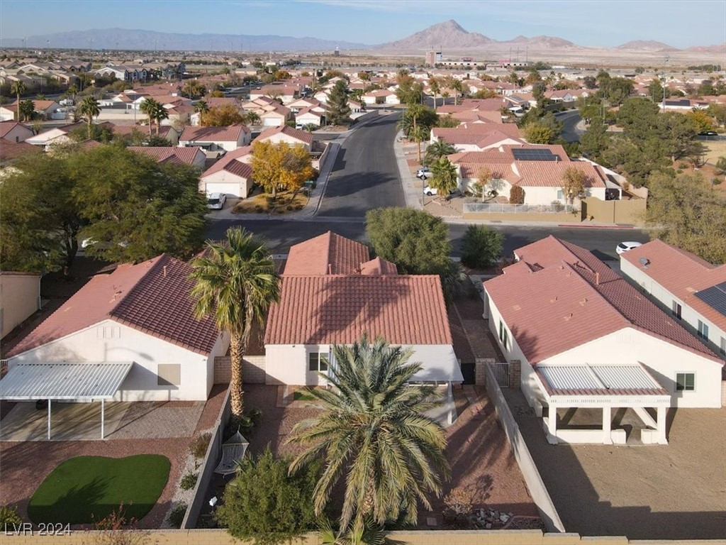 1061 Spotted Bull Court, Henderson, Nevada image 33