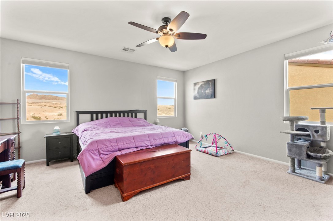 2672 Painted Mist Court, Las Vegas, Nevada image 22
