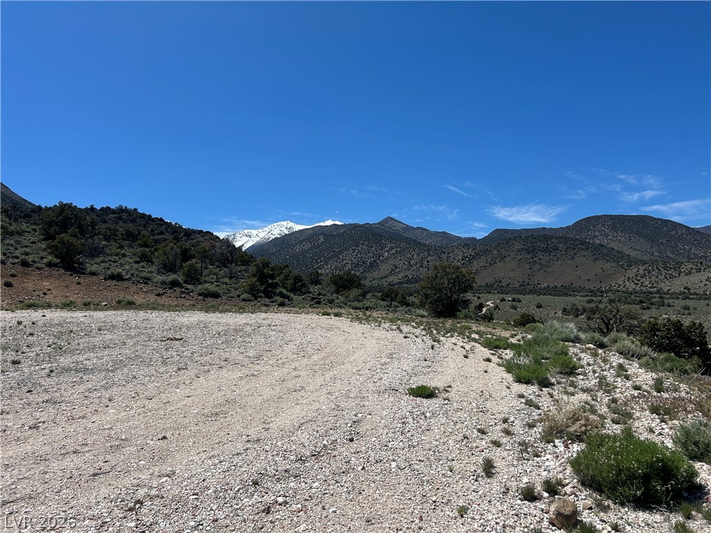 1480 WILD HORSE Run