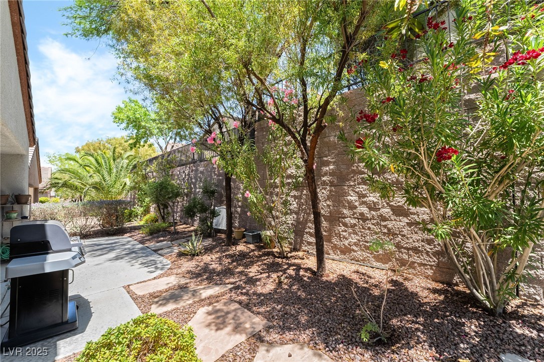 2326 Garnet Star Street, Henderson, Nevada image 25