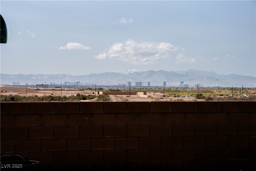 1141 Cactus Rock Street, Henderson, Nevada image 50