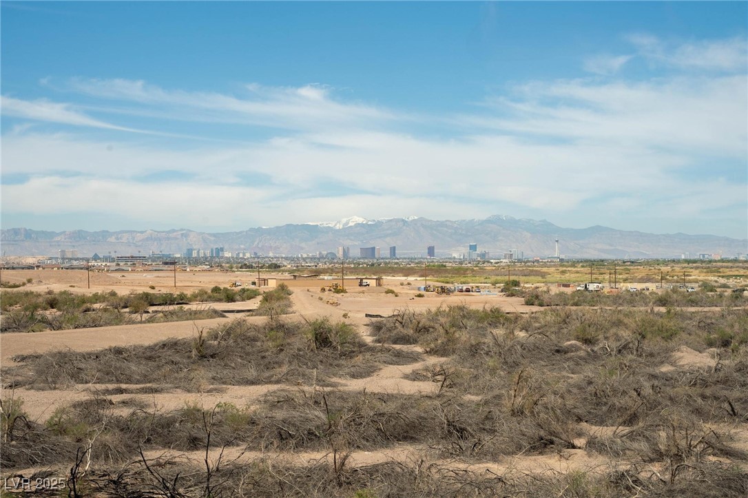 1141 Cactus Rock Street, Henderson, Nevada image 43
