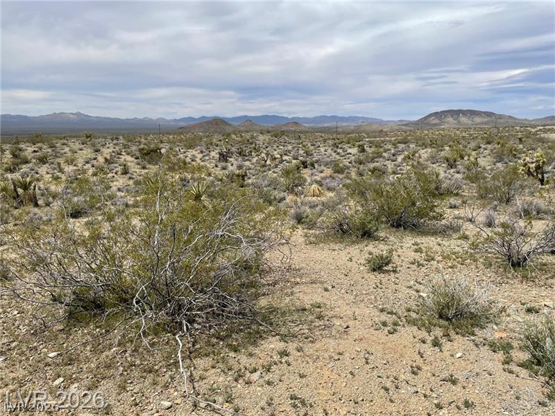 US 95