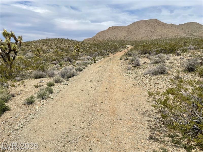 US 95