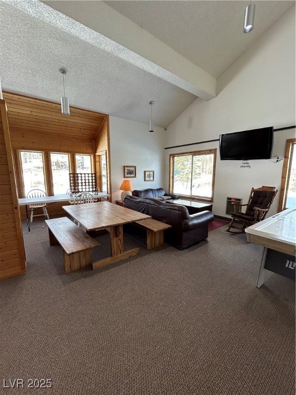 385 S Vasels Road #78, Brian Head, Utah image 35