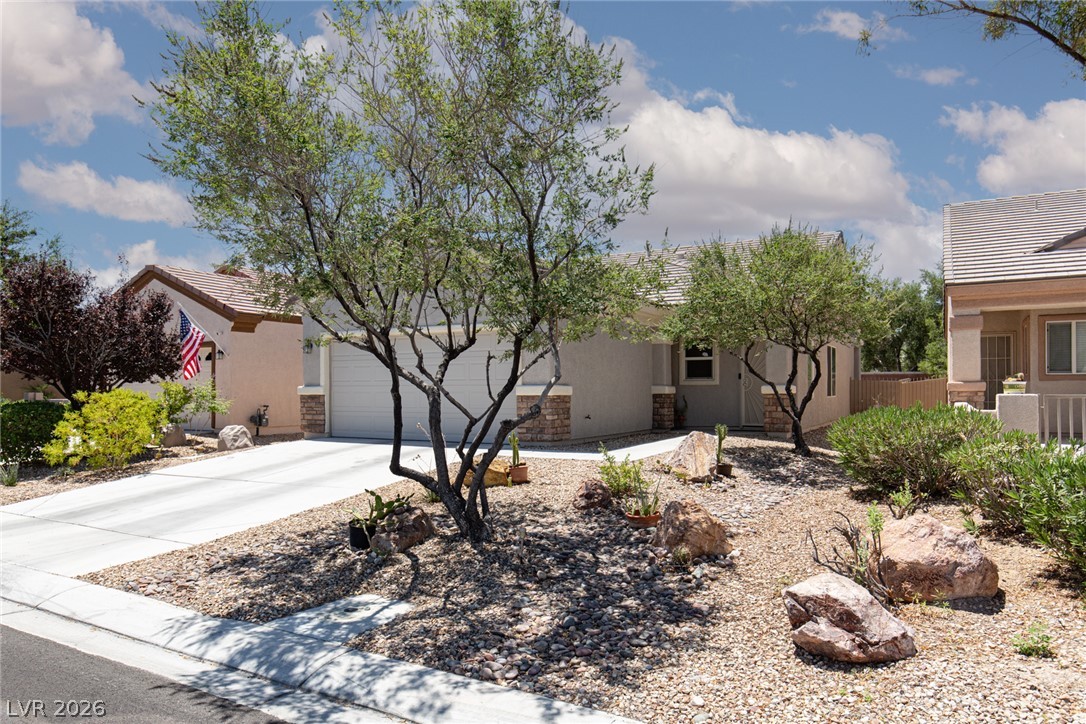 2505 Great Auk Avenue