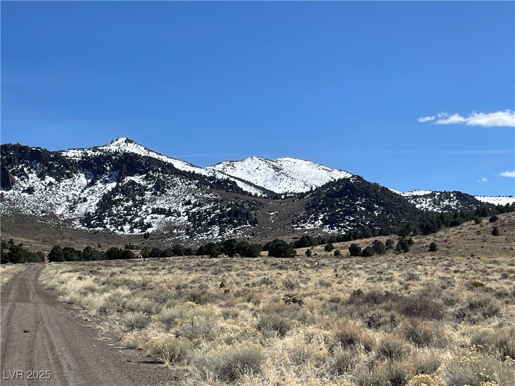 P-13 Butte Valley, Ely, Nevada image 1
