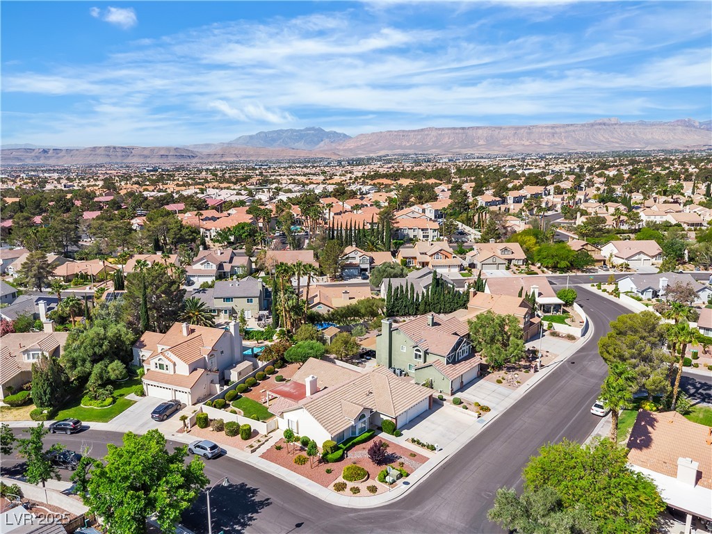 8761 Anchor Point Avenue, Las Vegas, Nevada image 41