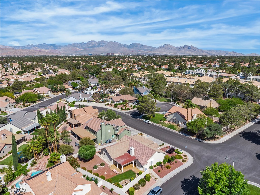8761 Anchor Point Avenue, Las Vegas, Nevada image 40