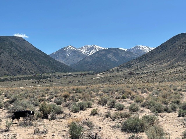 1330 Wild Horse Run, Dyer, Nevada image 5