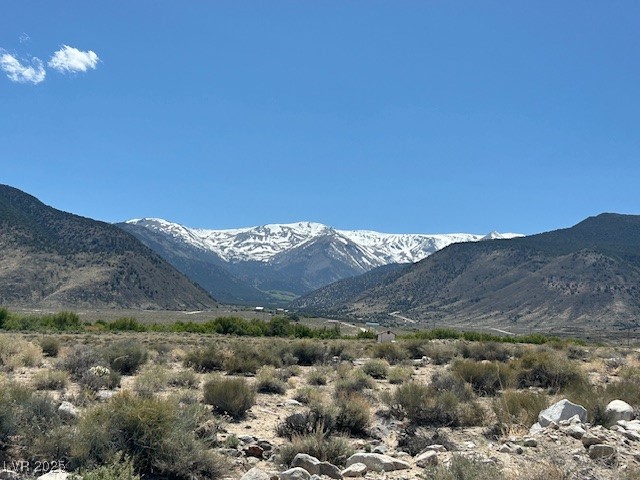 1330 Wild Horse Run, Dyer, Nevada image 10