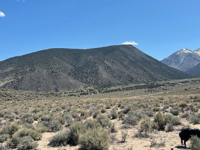 1330 Wild Horse Run, Dyer, Nevada image 4