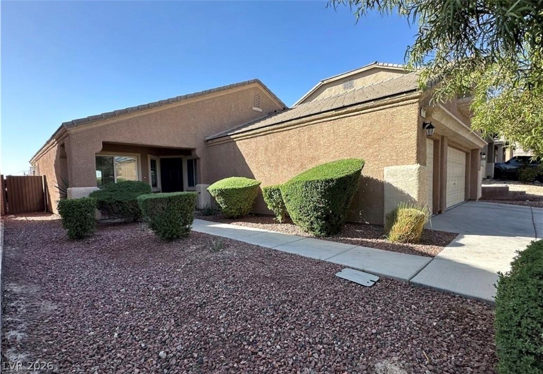 313 Purple Passion Avenue