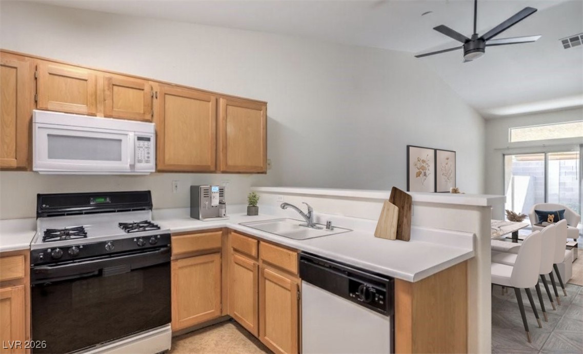 9713 Tiaquinn Avenue 101