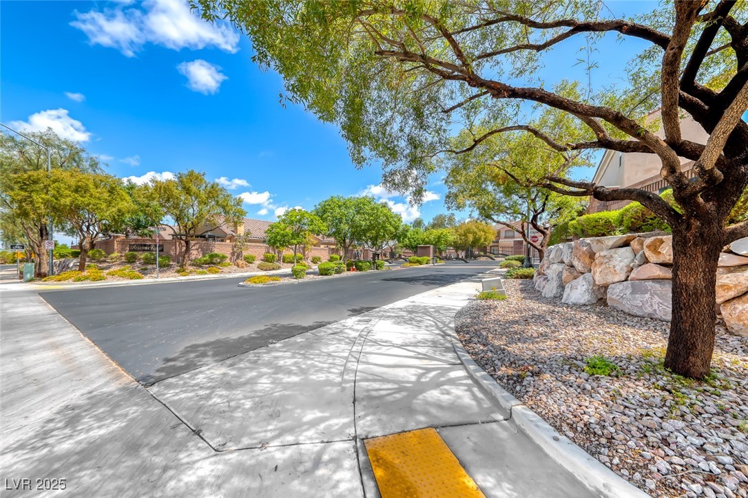 1033 Logan Patrick Drive, Henderson, Nevada image 47